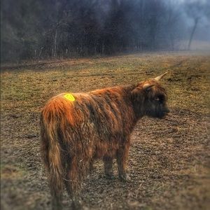 Meet your Posher, Maddy